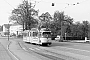 Düwag ? - Stadtwerke Bielefeld "223"
__.__.1960
Bielefeld, Jöllenbecker Straße, Hst. Birkenstraße (jetzt: Koblenzer Straße) [D]
Willi Horst [†]