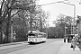 Düwag ? - Stadtwerke Bielefeld "832"
__.03.1986
Bielefeld-Brackwede, Brackweder Straße , Haltestelle Windelsbleicher Straße [D]
Manfred Braun