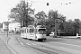 Düwag ? - Stadtwerke Bielefeld "223"
__.__.1960 - Bielefeld, Jöllenbecker Straße, Hst. Birkenstraße (jetzt: Koblenzer Straße)
Willi Horst [†]