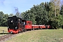 O&K 12805 - DKBM "5"
18.08.2018 - Gütersloh, Dampfkleinbahn MühlenstrothThomas Wohlfarth